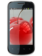 Best available price of Celkon A19 in Tanzania
