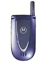 Best available price of Motorola V66i in Tanzania